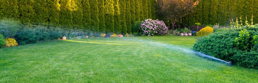 irrigating lawn-min